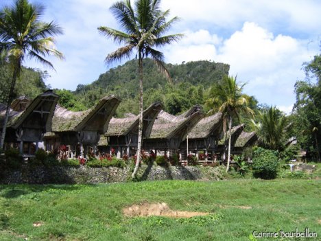Kete Kesu