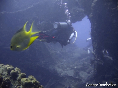 Petitesbullesdailleurs.fr © Corinne Bourbeillon