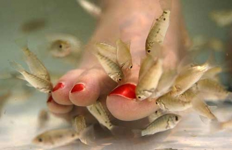 © www.fish-china.com.cn