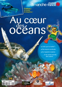Petitesbullesdailleurs.fr © Corinne Bourbeillon