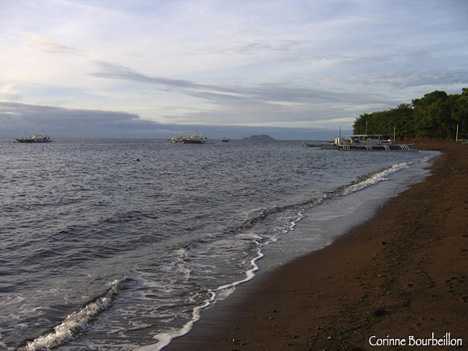 beach Dauin