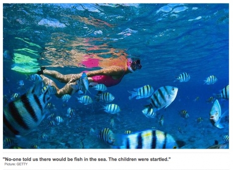 Source: TheTelegraph.co.uk - © Photo: Getty.