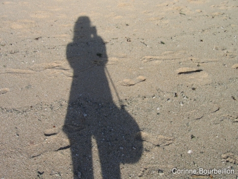 Petitesbullesdailleurs.fr © Corinne Bourbeillon