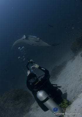 Manta Spa