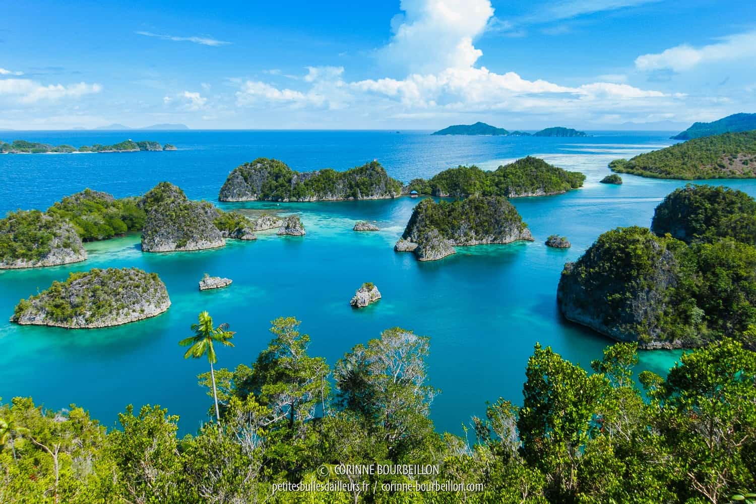 Iles Raja Ampat P riode Guide Complet Pour Visiter Raja Ampat OBFEKJ