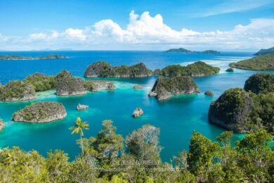 Vue sur l'archipel de Fam, depuis le viewpoint de Piaynemo. (Raja Ampat, Papouasie Occidentale, Indonésie, janvier 2015)