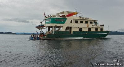 Croisière-plongée Raja Ampat (Black Manta). Papouasie, Indonésie. Mars 2012.