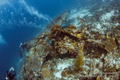 Pour les plongeurs, c'est un insolite terrain de jeu... (Wai Plane Wreck, Raja Ampat, Papouasie occidentale, Indonésie, novembre 2015.)