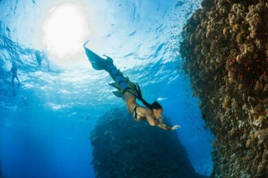 Les sirènes existent, la preuve... (Mer Rouge, Safaga, Égypte, octobre 2016)